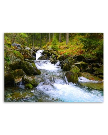 Bild auf Leinwand - Bergbach in Grün | Feeby