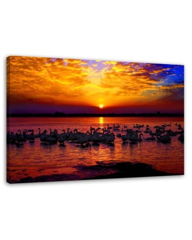 Swans on the lake shore - Canvas painting | FEEBY