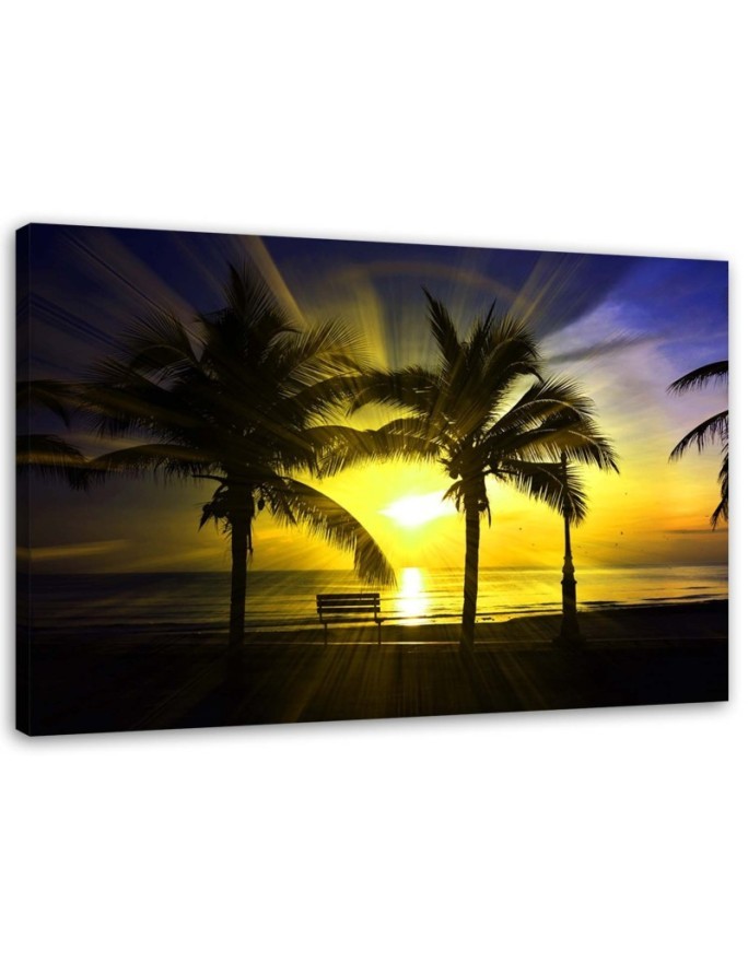 Bild auf Leinwand - Palmen und Sonnenschein | Feeby