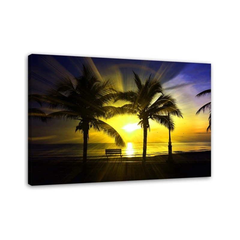 Bild auf Leinwand - Palmen und Sonnenschein | Feeby