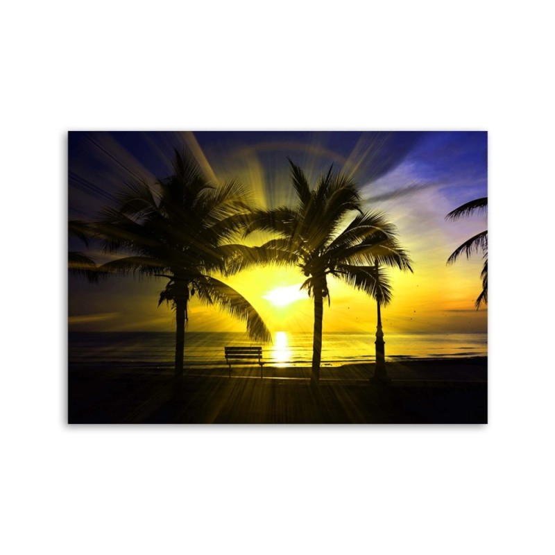 Bild auf Leinwand - Palmen und Sonnenschein | Feeby