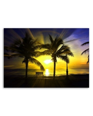 Bild auf Leinwand - Palmen und Sonnenschein | Feeby