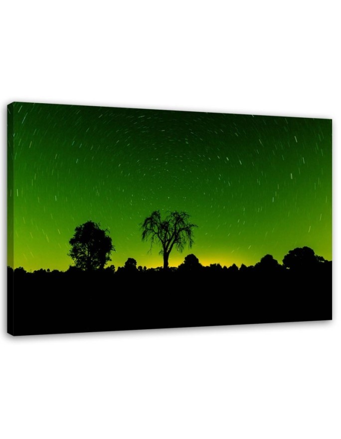 Dekoratives Leinwandbild - Sternenlicht | Feeby