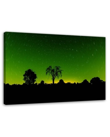 Dekoratives Leinwandbild - Sternenlicht | Feeby