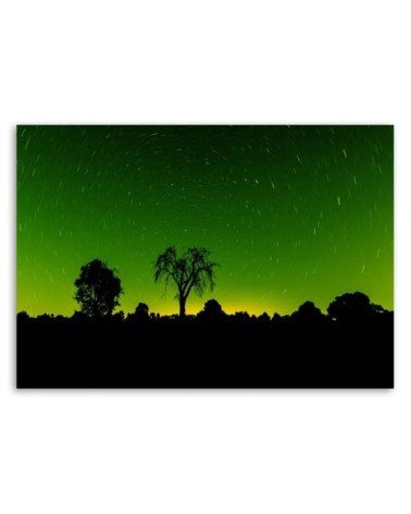 Dekoratives Leinwandbild - Sternenlicht | Feeby