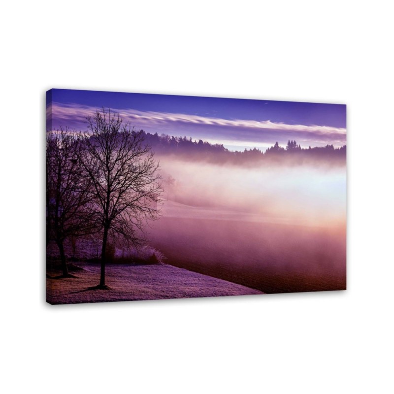 Leinwandbild - Nebel über dem See | Feeby