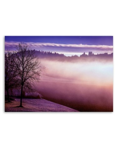 Leinwandbild - Nebel über dem See | Feeby