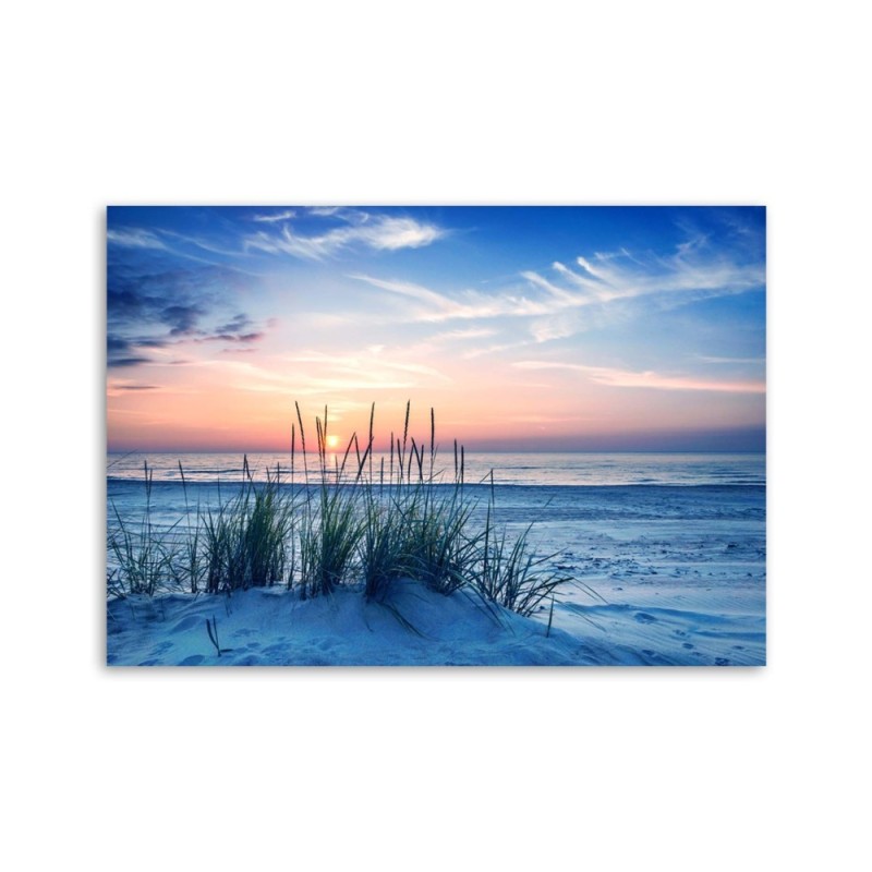 Leinwandbild - Gräser am Strand | Feeby