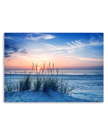 Leinwandbild - Gräser am Strand | Feeby