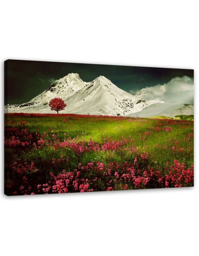 Leinwandbild - Berge im Schnee und eine bunte Wiese | Feeby