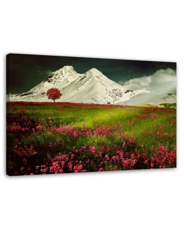 Leinwandbild - Berge im Schnee und eine bunte Wiese | Feeby