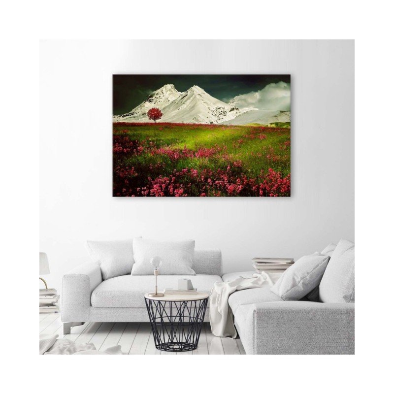 Leinwandbild - Berge im Schnee und eine bunte Wiese | Feeby