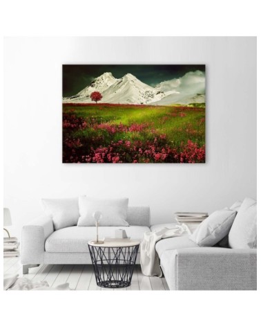 Leinwandbild - Berge im Schnee und eine bunte Wiese | Feeby