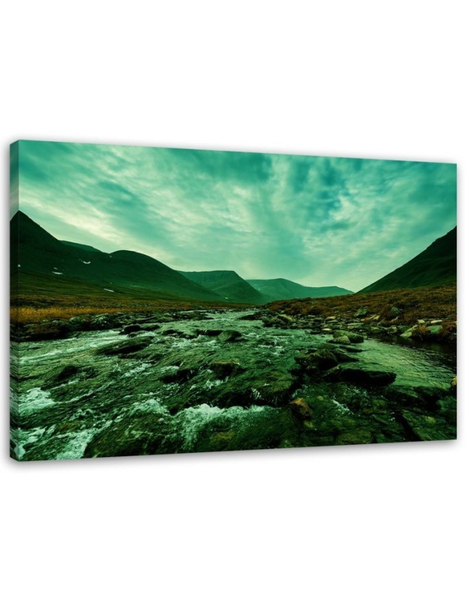 Canvas painting - Rushing river in green landscape | FEEBY