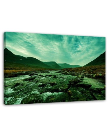 Canvas painting - Rushing river in green landscape | FEEBY