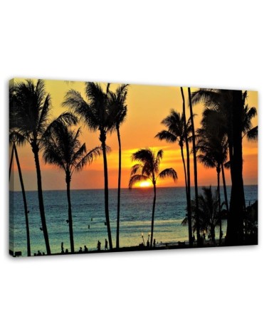 Bild auf Leinwand - Palmen bei Sonnenuntergang | Feeby