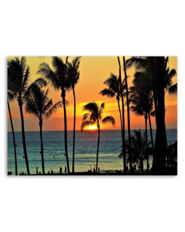 Bild auf Leinwand - Palmen bei Sonnenuntergang | Feeby