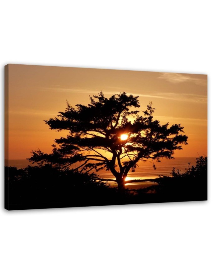 Bild auf Leinwand - Baum am Meer bei Sonnenuntergang | Feeby