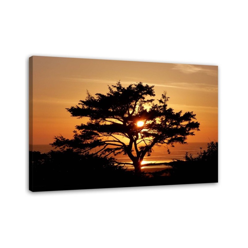 Bild auf Leinwand - Baum am Meer bei Sonnenuntergang | Feeby