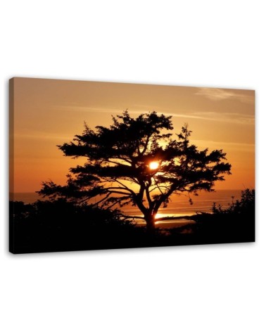 Bild auf Leinwand - Baum am Meer bei Sonnenuntergang | Feeby