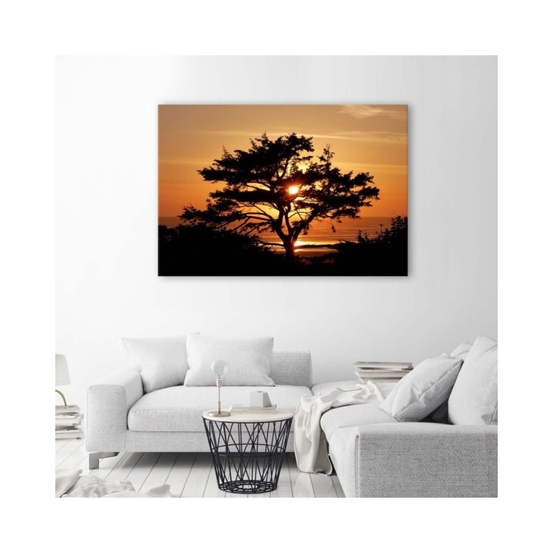 Bild auf Leinwand - Baum am Meer bei Sonnenuntergang | Feeby