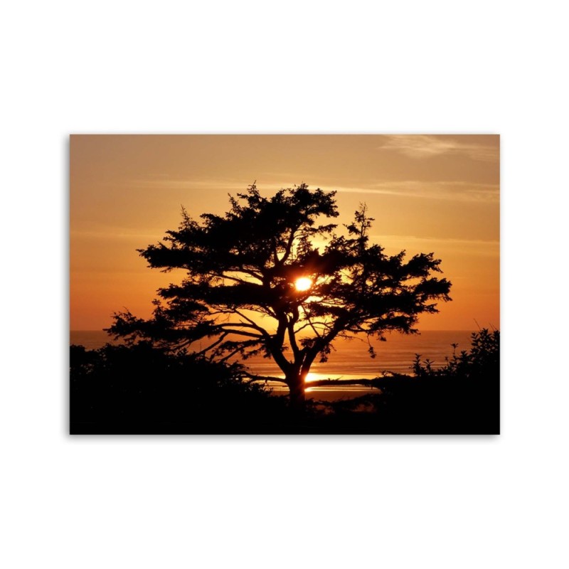 Bild auf Leinwand - Baum am Meer bei Sonnenuntergang | Feeby