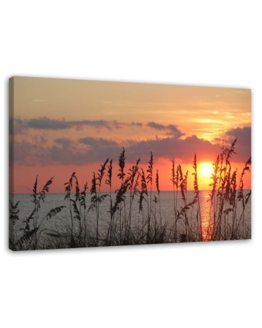 Beach sunset - Picture for the living room | FEEBY