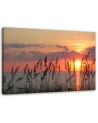 Beach sunset - Picture for the living room | FEEBY