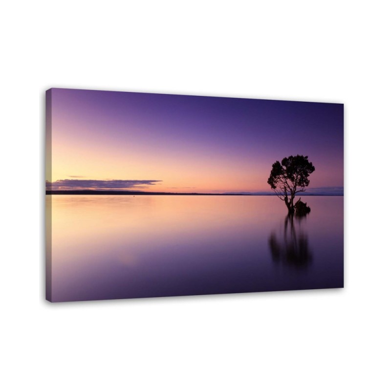 Dekoratives Leinwandbild - Einsamer Baum am See | Feeby