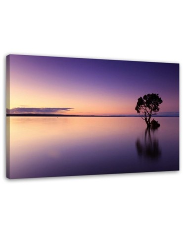 Dekoratives Leinwandbild - Einsamer Baum am See | Feeby
