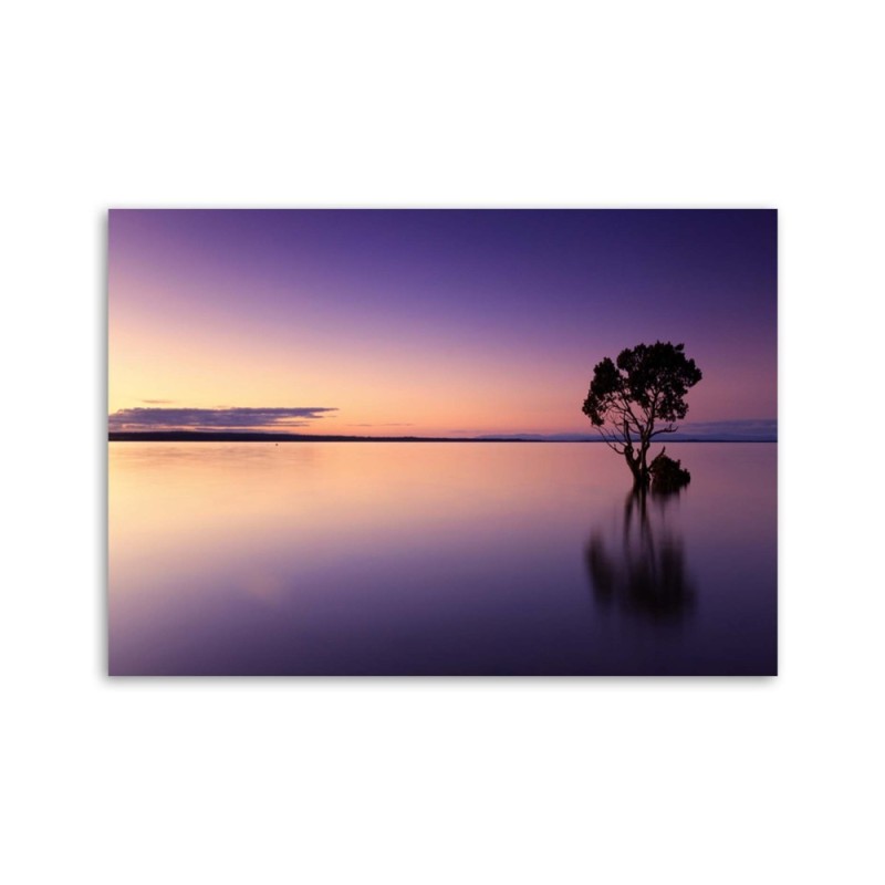 Dekoratives Leinwandbild - Einsamer Baum am See | Feeby