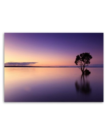 Dekoratives Leinwandbild - Einsamer Baum am See | Feeby