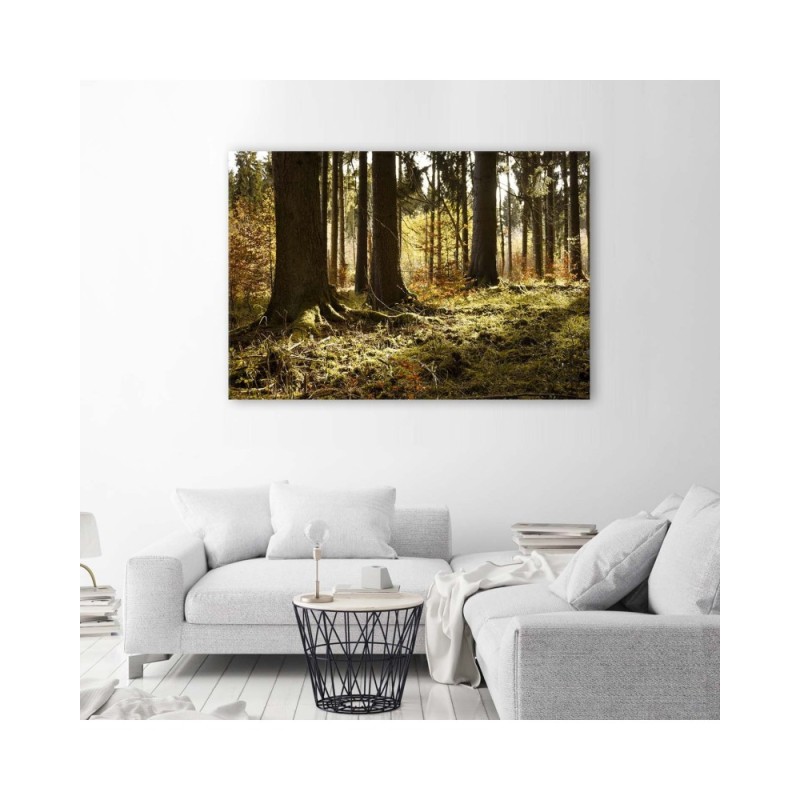 Wandbild für Wohnzimmer - In einem Wald | Feeby