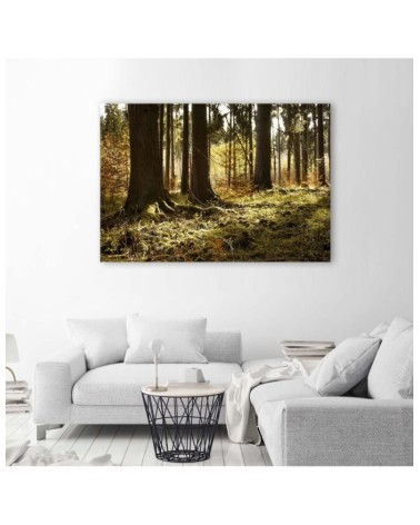 Wandbild für Wohnzimmer - In einem Wald | Feeby