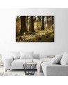 Canvas prints for the living room - Forest nature landscape | FEEBY