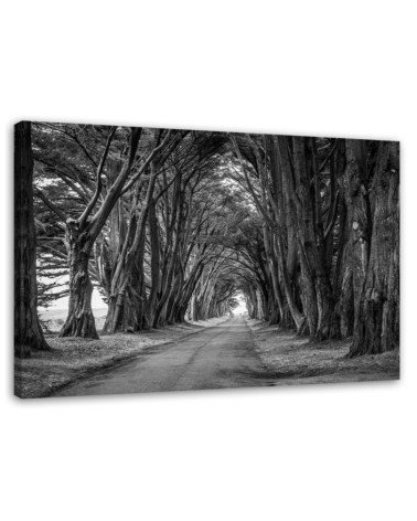 Modernes Wandbild - Waldallee mit Bäumen | Feeby