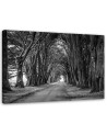 Obraz na płótnie canvas - Park aleja drzew | FEEBY