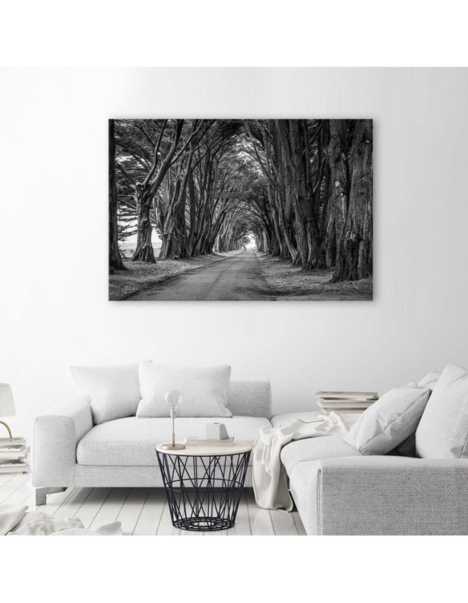 Obraz na płótnie canvas - Park aleja drzew | FEEBY