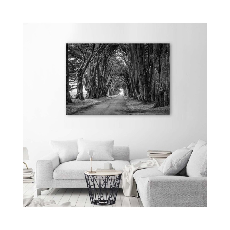 Modernes Wandbild - Waldallee mit Bäumen | Feeby