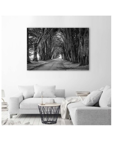 Modernes Wandbild - Waldallee mit Bäumen | Feeby