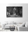 Obraz na płótnie canvas - Park aleja drzew | FEEBY
