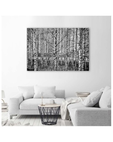 Dekoratives Leinwandbild - Schwarz- und Weißbirken | Feeby