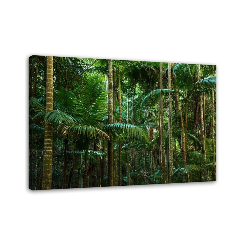 Leinwandbild - Grüne Palmen | Feeby