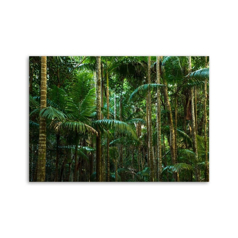 Leinwandbild - Grüne Palmen | Feeby