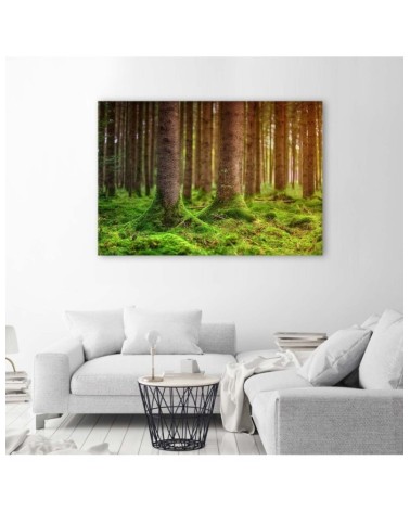 Modernes Wandbild - Moosbewachsene Stämme | Feeby