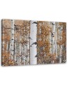 Canvas print modern - Birch forest nature | FEEBY