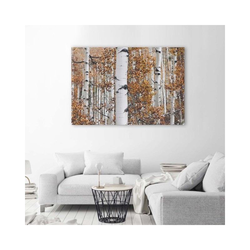 Bild auf Leinwand - Birken | Feeby