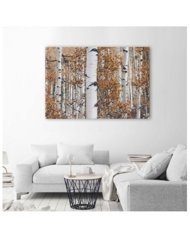 Bild auf Leinwand - Birken | Feeby
