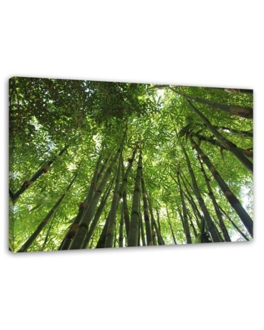 Leinwanddruck - Bambusspitzen | Feeby