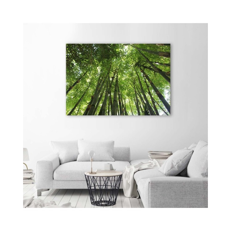Leinwanddruck - Bambusspitzen | Feeby